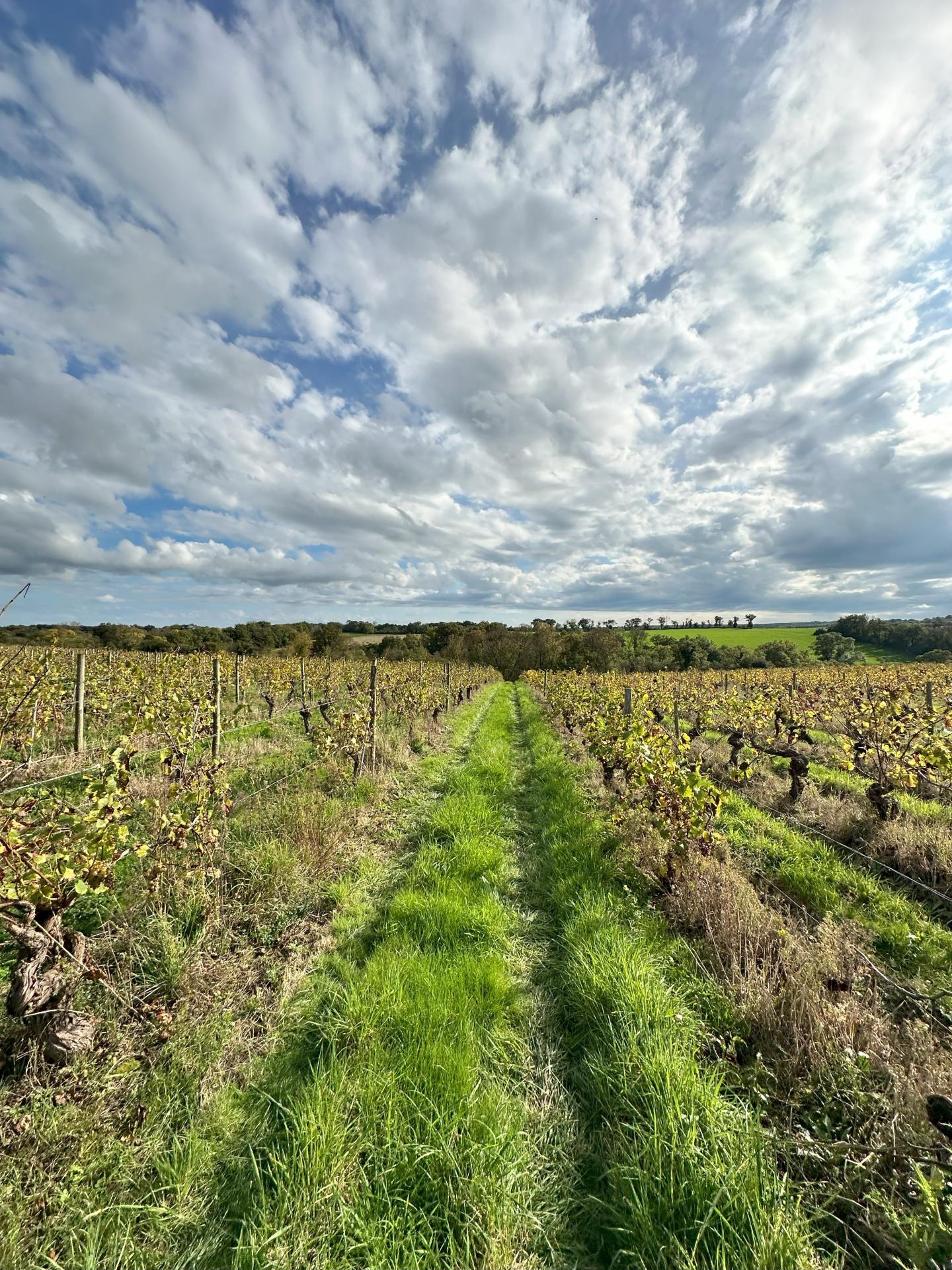 2cf408e5cb624b9db4c2c056251c6728